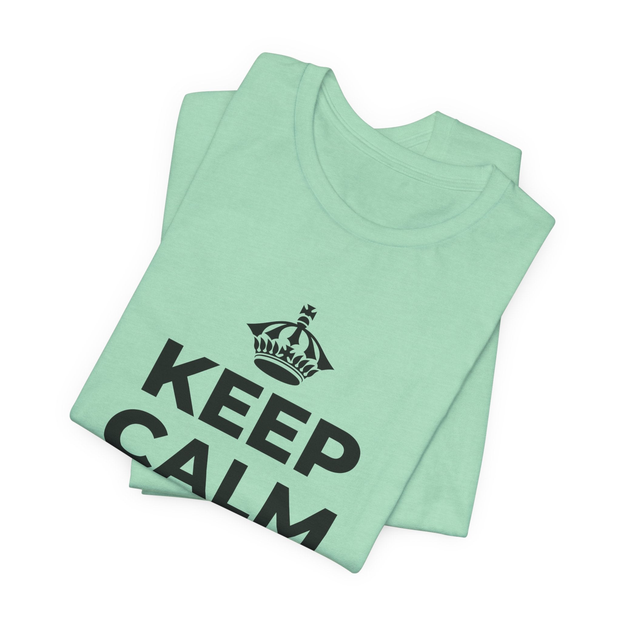 KEEP CALM AND OWN IT T-Shirt (Baby Blue–Silver)