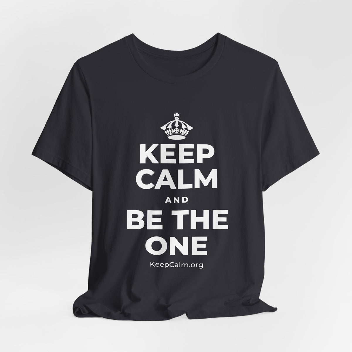 KEEP CALM AND BE THE ONE T-Shirt (Baby Blue–Silver)