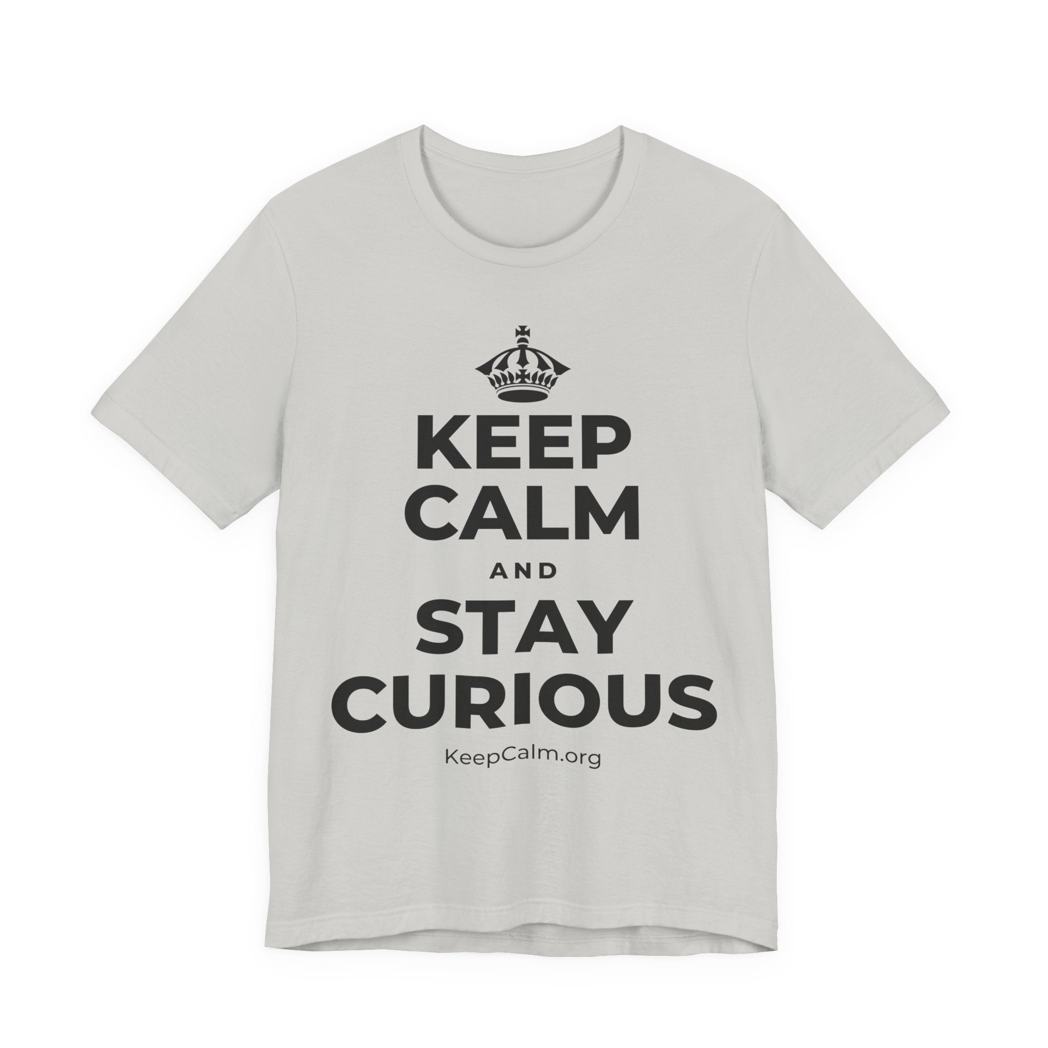 KEEP CALM AND STAY CURIOUS T-Shirt (Baby Blue–Silver)