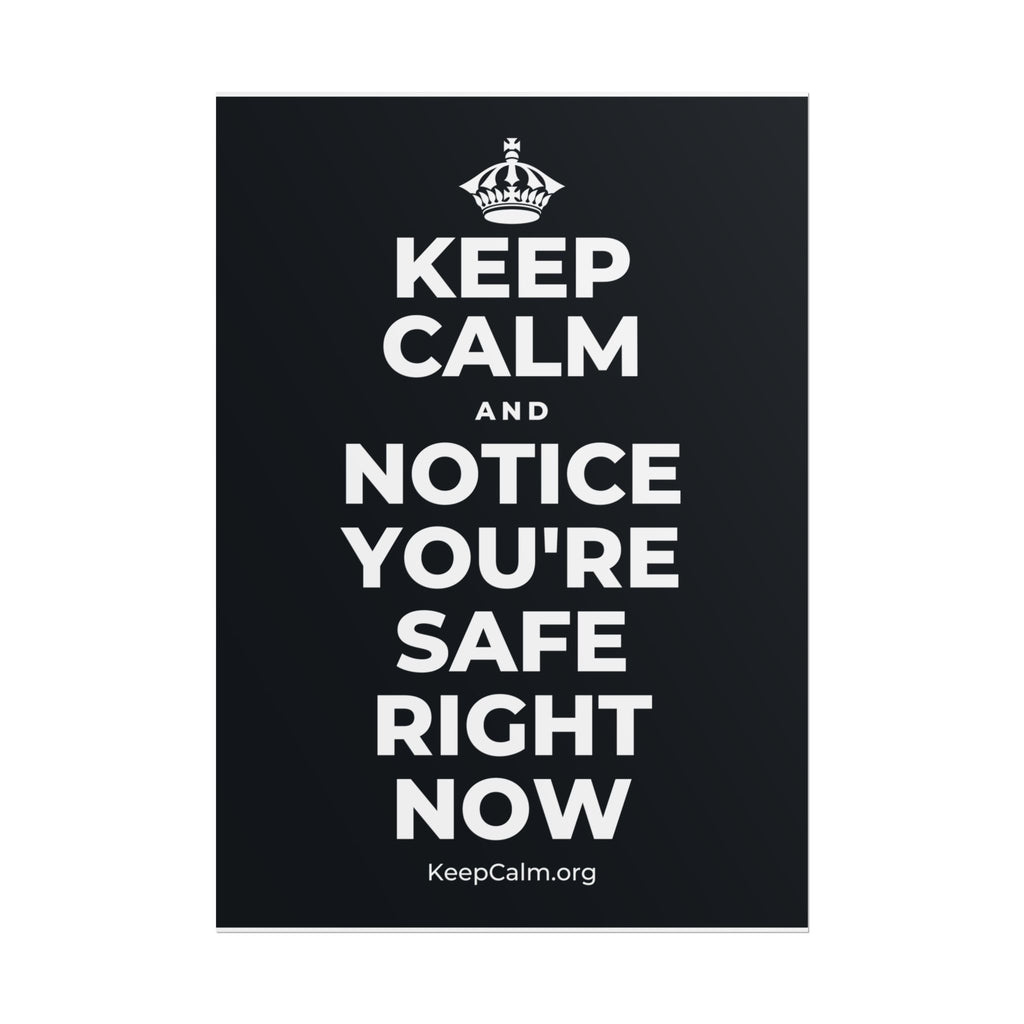 KEEP CALM AND NOTICE YOU'RE SAFE RIGHT NOW Poster (Dark)