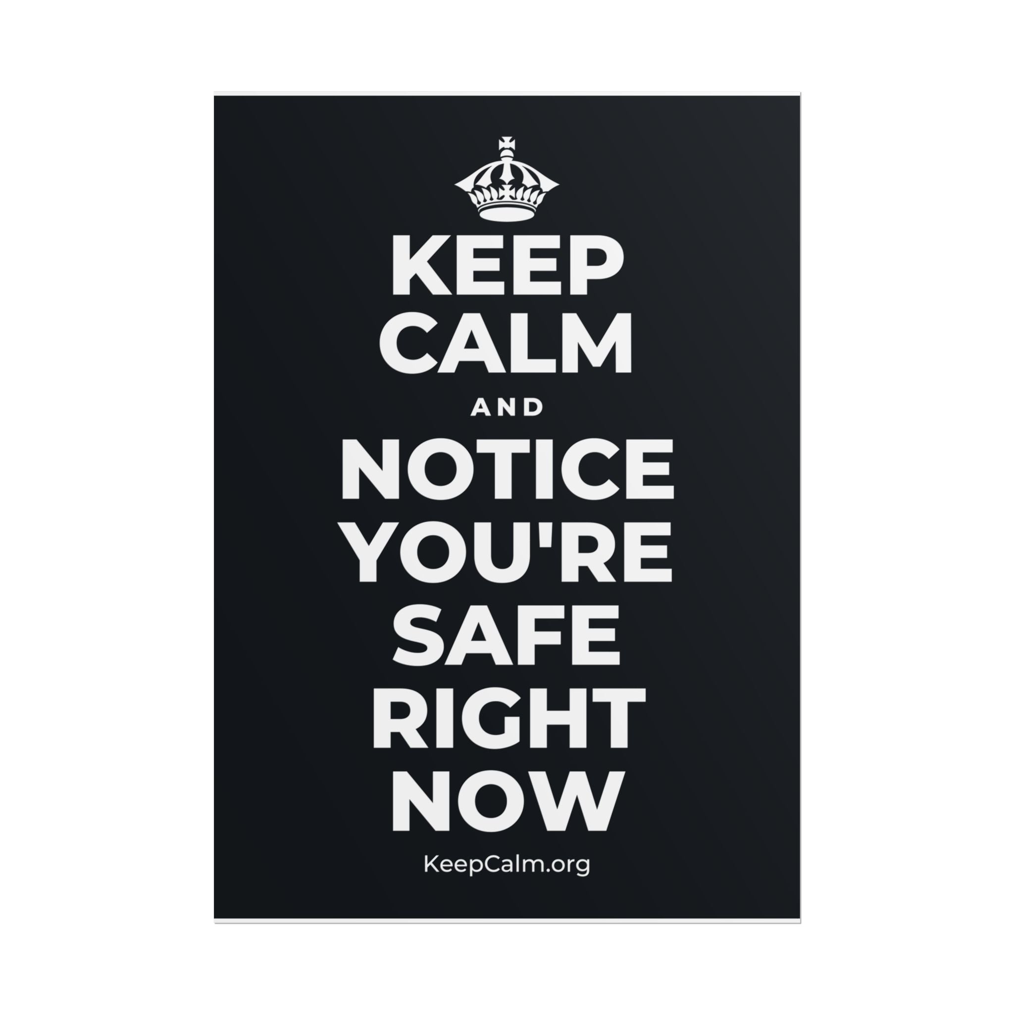 KEEP CALM AND NOTICE YOU'RE SAFE RIGHT NOW Poster (Dark)