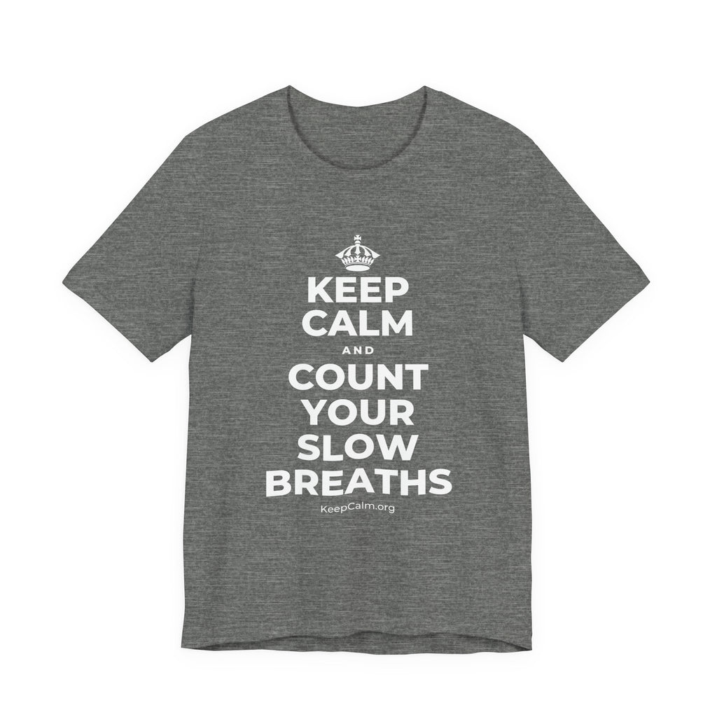 KEEP CALM AND COUNT YOUR SLOW BREATHS T-Shirt (Baby Blue–Silver)