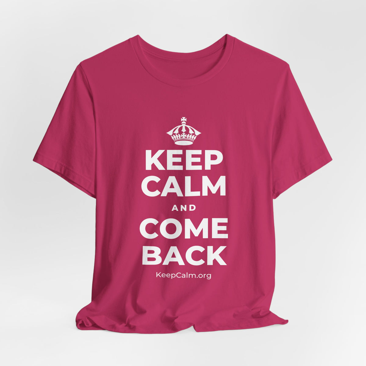 KEEP CALM AND COME BACK T-Shirt (Baby Blue–Silver)