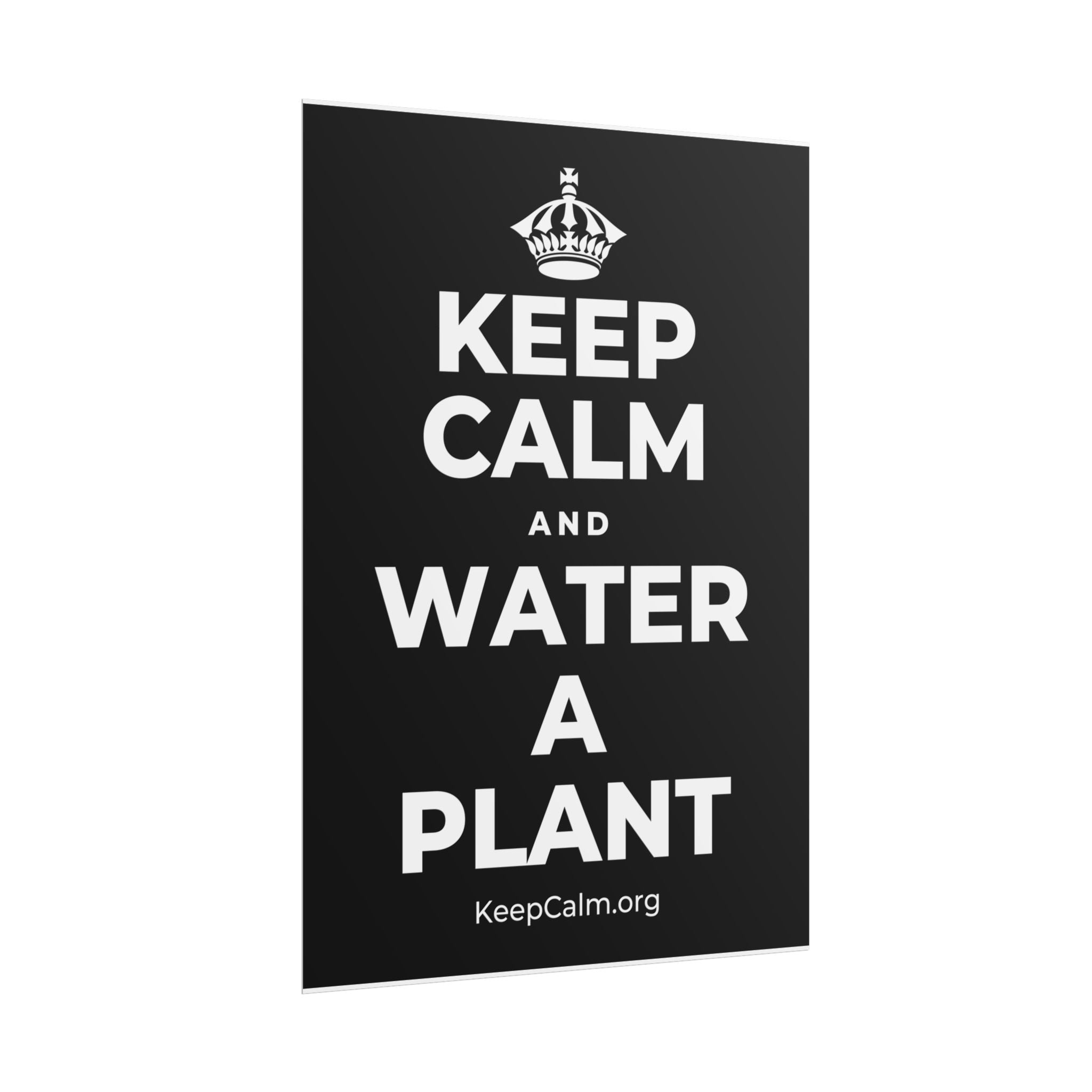 KEEP CALM AND WATER A PLANT Poster