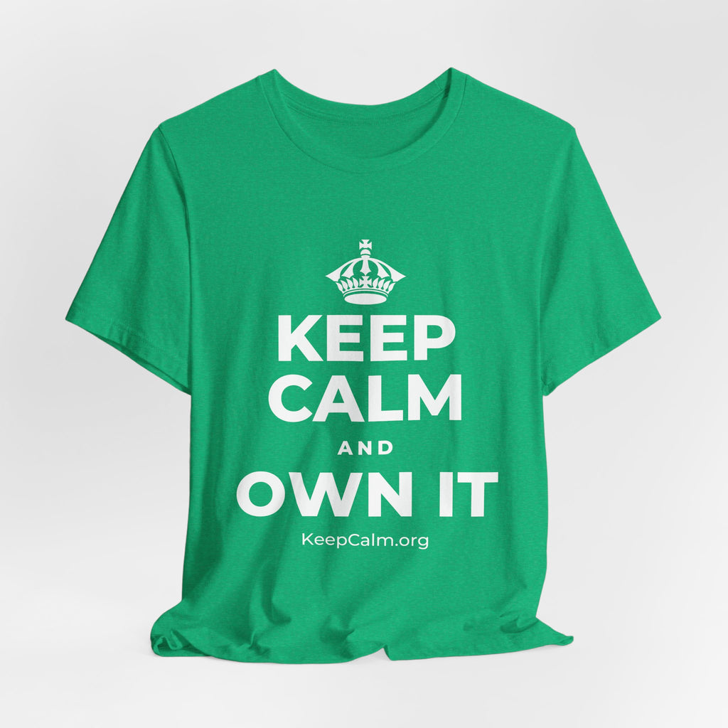 KEEP CALM AND OWN IT T-Shirt (Baby Blue–Silver)