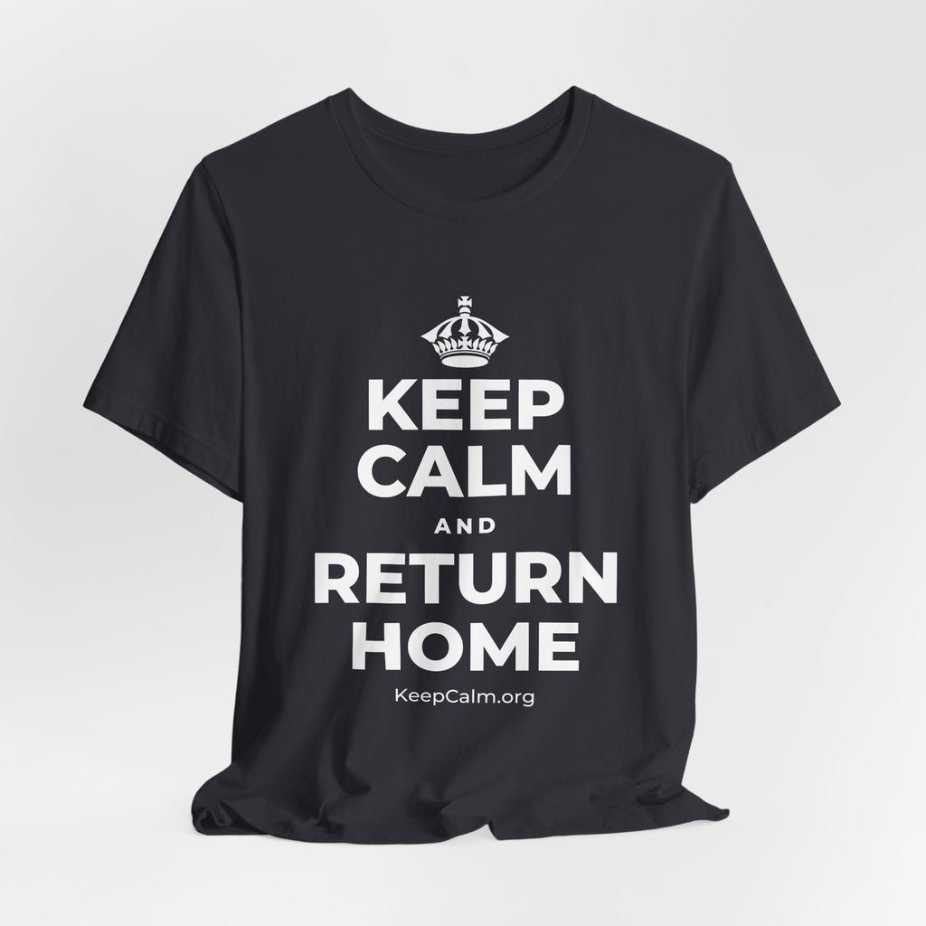 KEEP CALM AND RETURN HOME T-Shirt (Baby Blue–Silver)