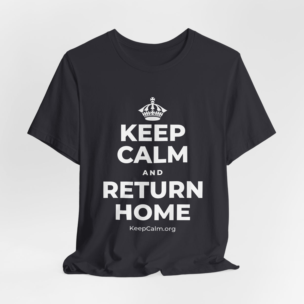 KEEP CALM AND RETURN HOME T-Shirt (Baby Blue–Silver)