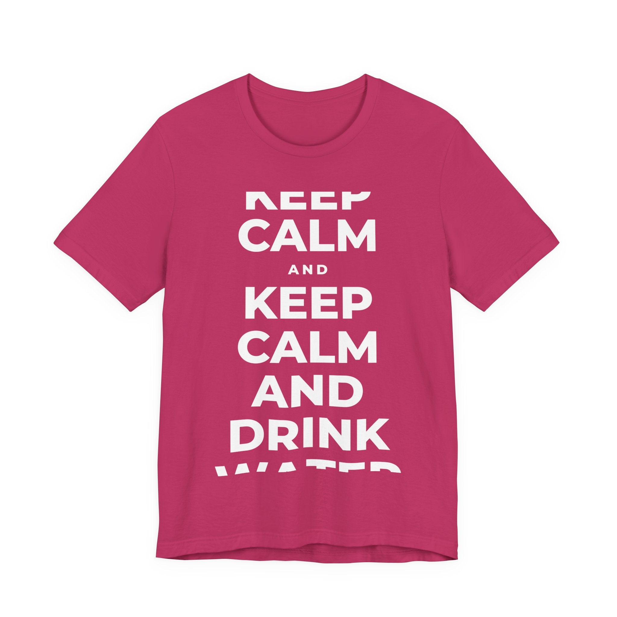 KEEP CALM AND DRINK WATER T-Shirt (Baby Blue–Silver)