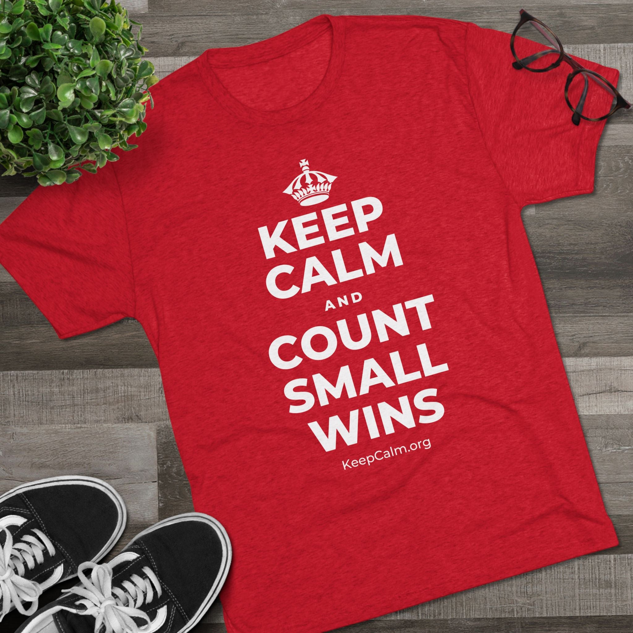 KEEP CALM AND COUNT SMALL WINS Tri-Blend Tee