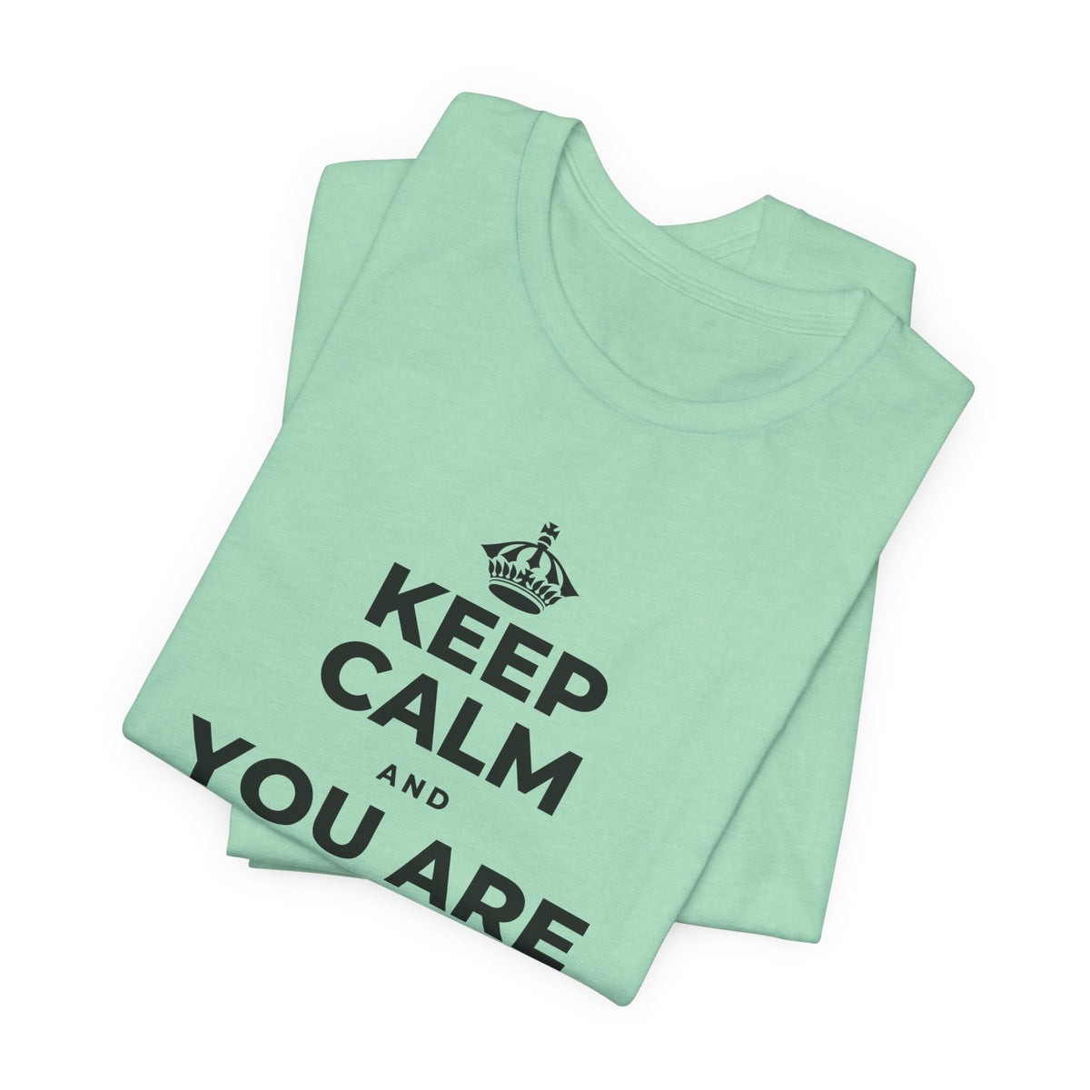 KEEP CALM AND YOU ARE DOING GREAT TODAY T-Shirt (Baby Blue–Silver)