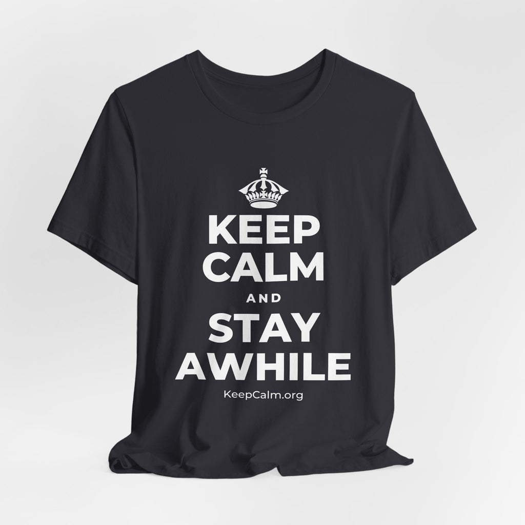 KEEP CALM AND STAY AWHILE T-Shirt (Baby Blue–Silver)