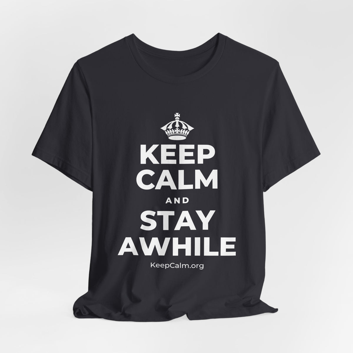 KEEP CALM AND STAY AWHILE T-Shirt (Baby Blue–Silver)