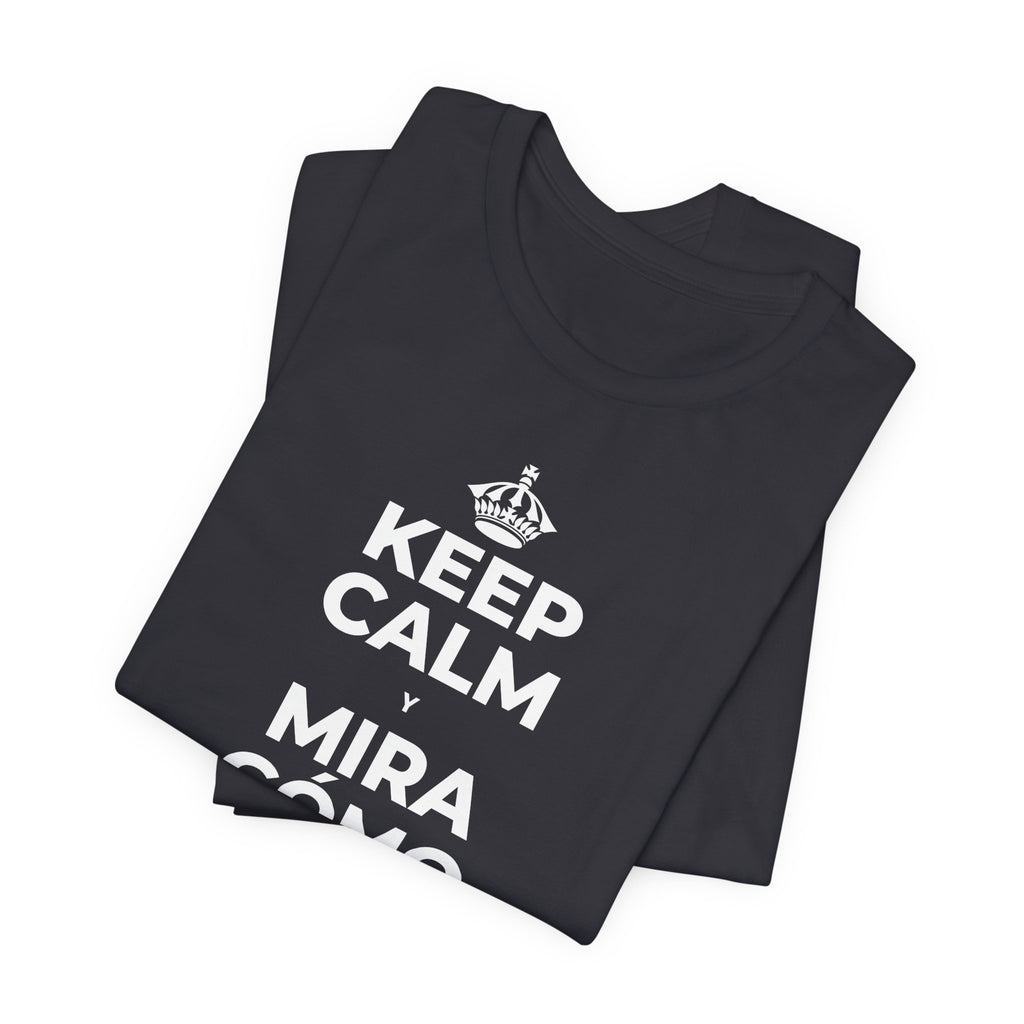 KEEP CALM Y MIRA CÓMO CAMBIAN LAS HOJAS T-Shirt (Baby Blue–Silver)