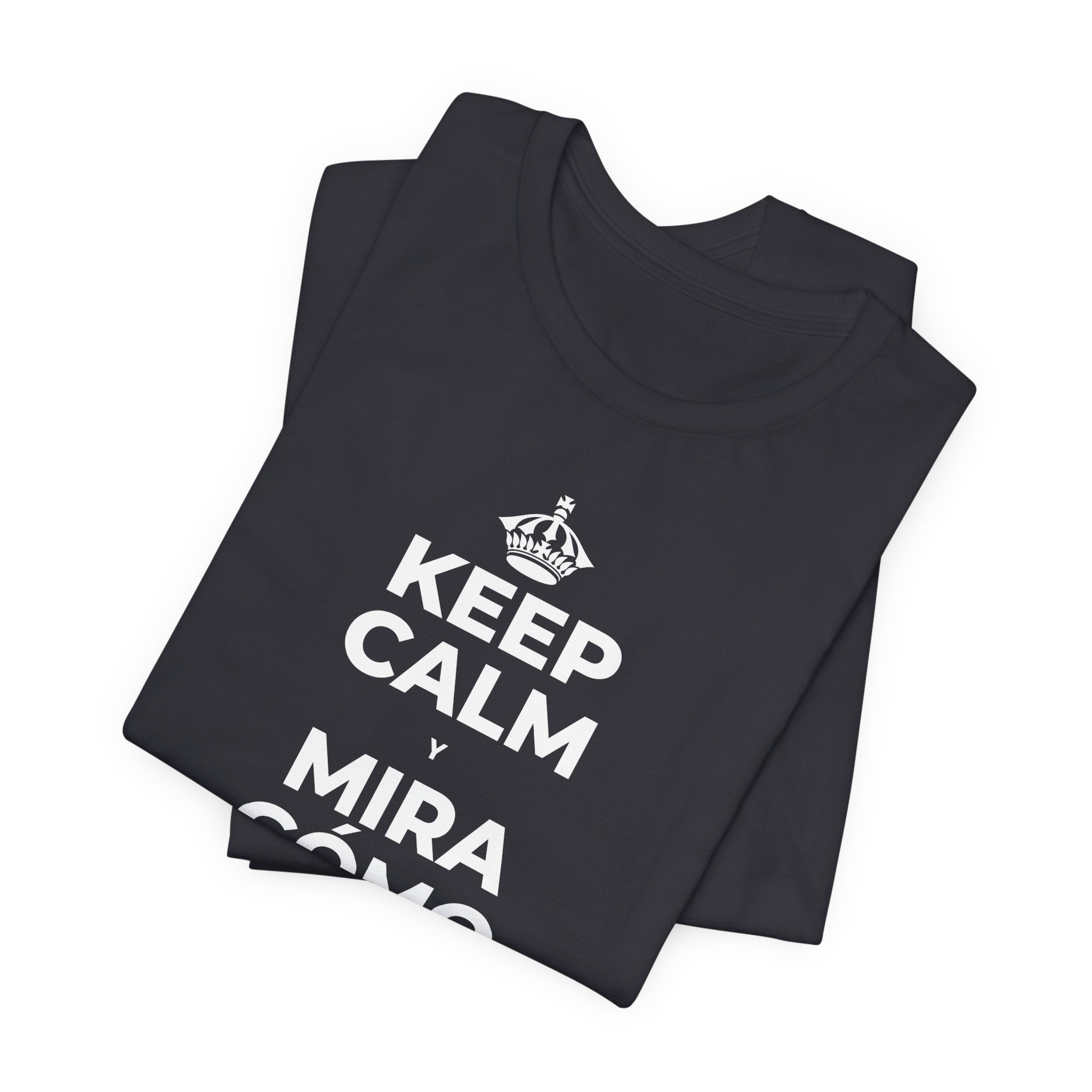KEEP CALM Y MIRA CÓMO CAMBIAN LAS HOJAS T-Shirt (Baby Blue–Silver)