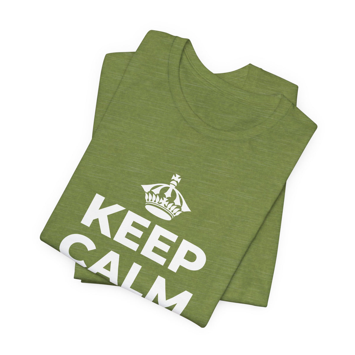 KEEP CALM AND OWN IT T-Shirt (Baby Blue–Silver)