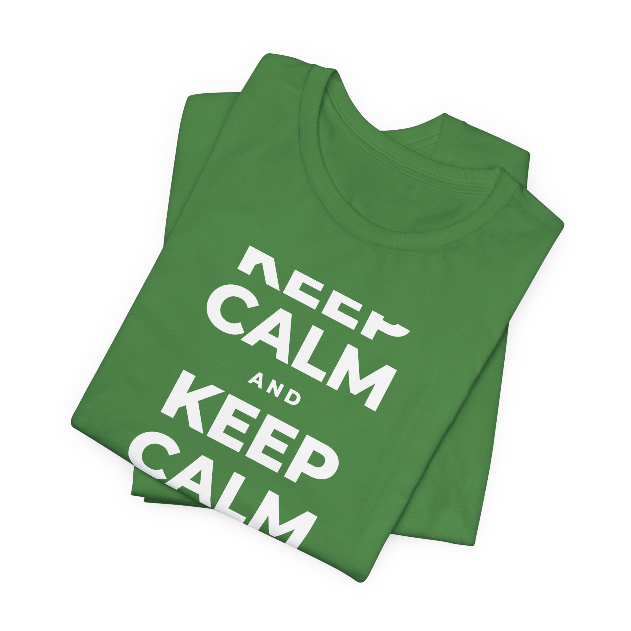 KEEP CALM AND TAKE A WALK T-Shirt (Baby Blue–Silver)