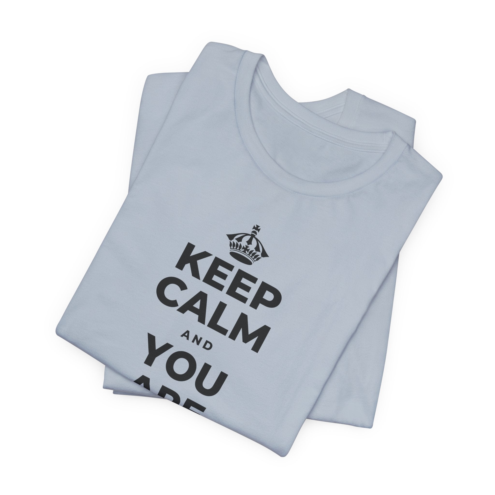 KEEP CALM AND YOU ARE DOING GREAT TODAY T-Shirt (White–Asphalt)