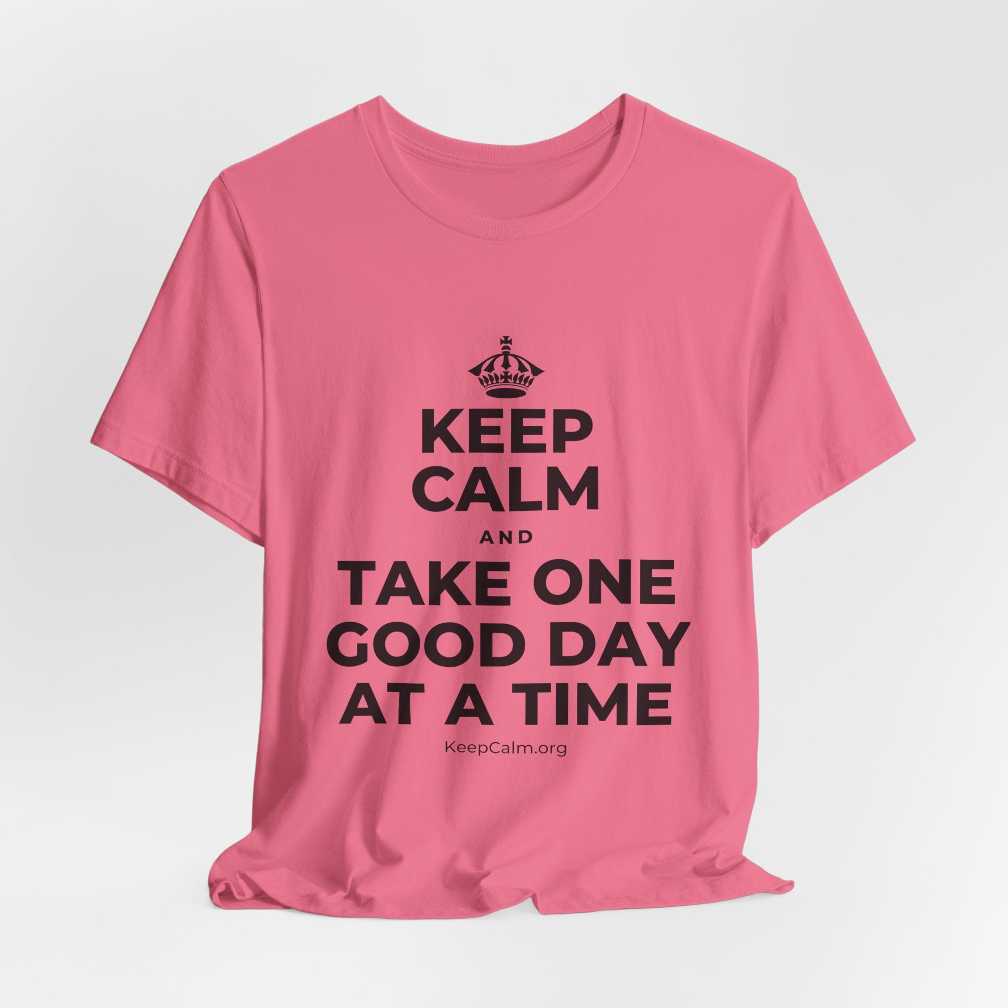 KEEP CALM AND TAKE ONE GOOD DAY AT A TIME T-Shirt (Military Green–Autumn)