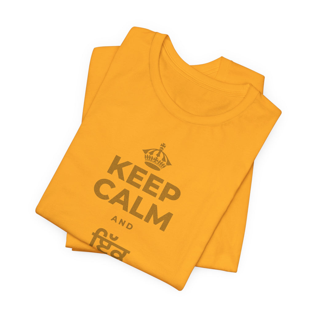 KEEP CALM AND ਇੱਕ ਬੀਜ ਬੀਜੋ T-Shirt (Baby Blue–Silver)