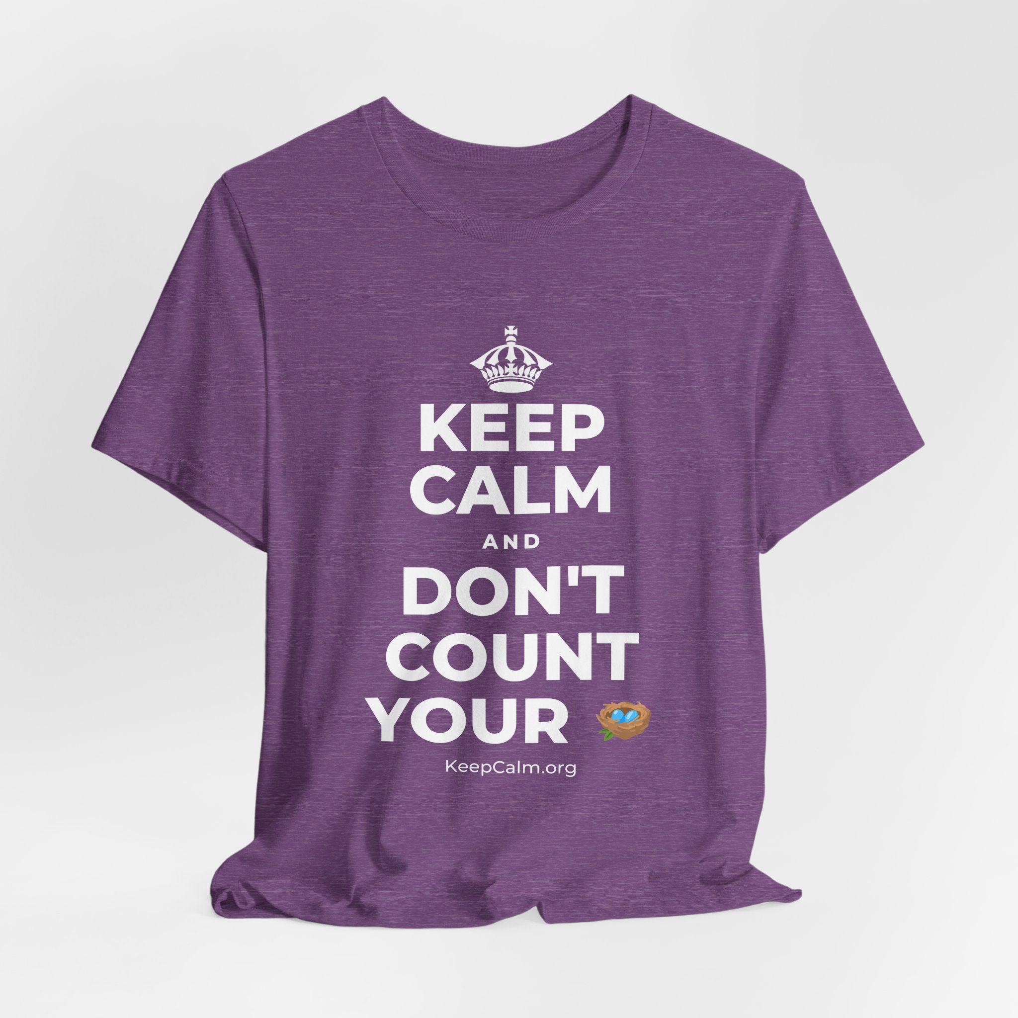KEEP CALM AND DON'T COUNT YOUR 🪺 T-Shirt (Baby Blue–Silver)