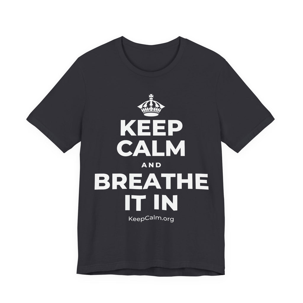 KEEP CALM AND BREATHE IT IN T-Shirt (Baby Blue–Silver)