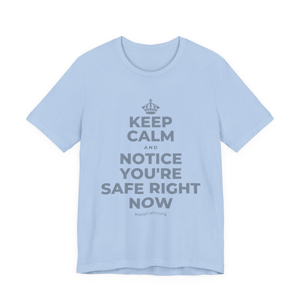 KEEP CALM AND NOTICE YOU'RE SAFE RIGHT NOW T-Shirt (Baby Blue–Silver)