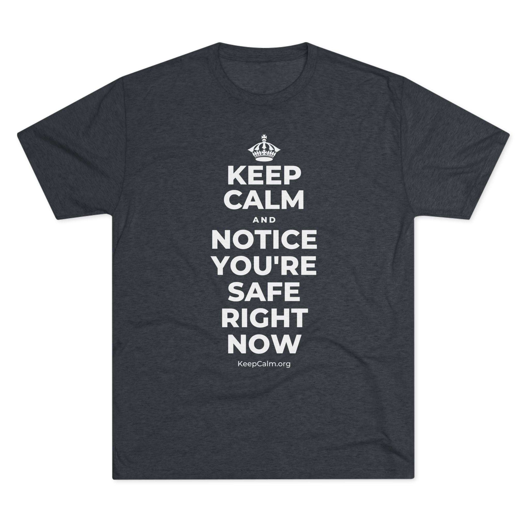 KEEP CALM AND NOTICE YOU'RE SAFE RIGHT NOW Tri-Blend Tee