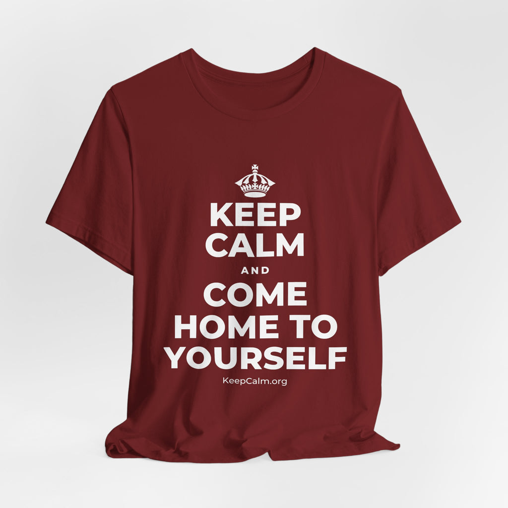 KEEP CALM AND COME HOME TO YOURSELF T-Shirt (Baby Blue–Silver)