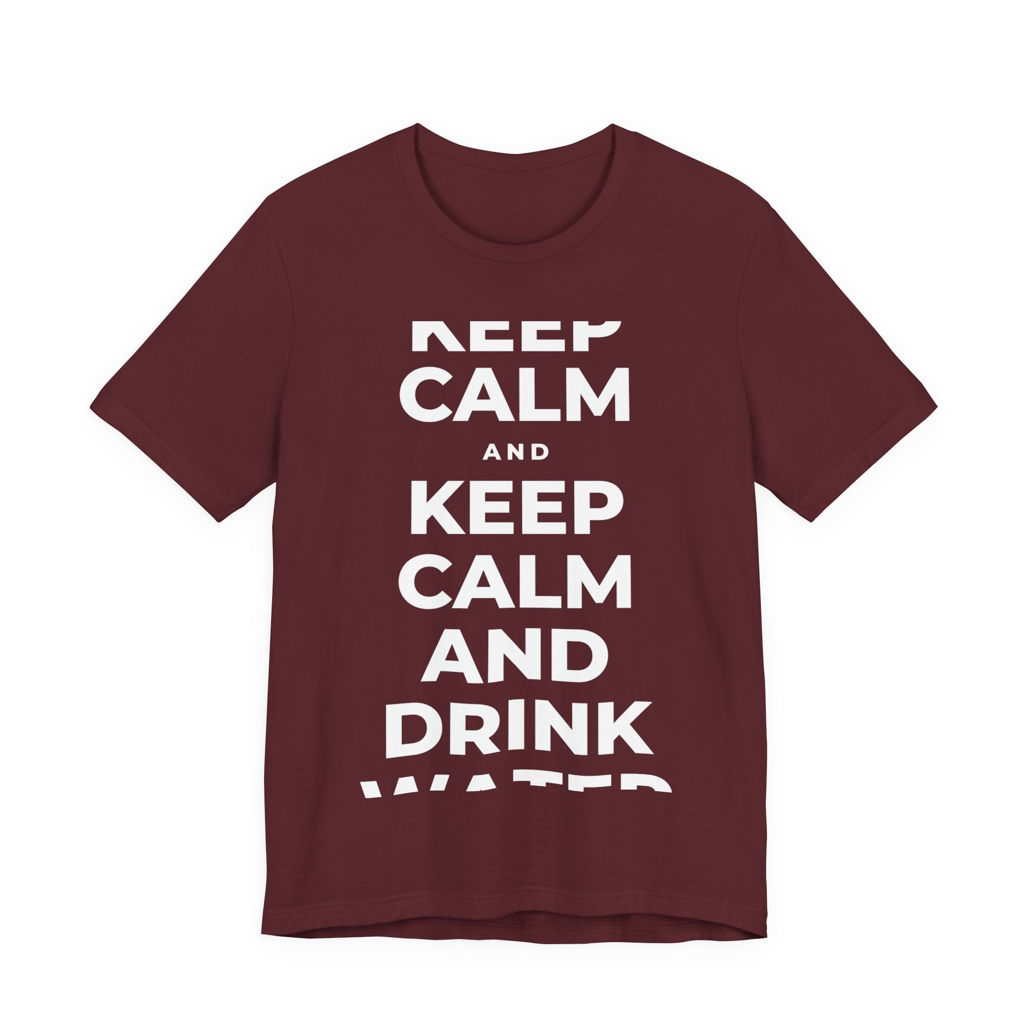 KEEP CALM AND DRINK WATER T-Shirt (Baby Blue–Silver)