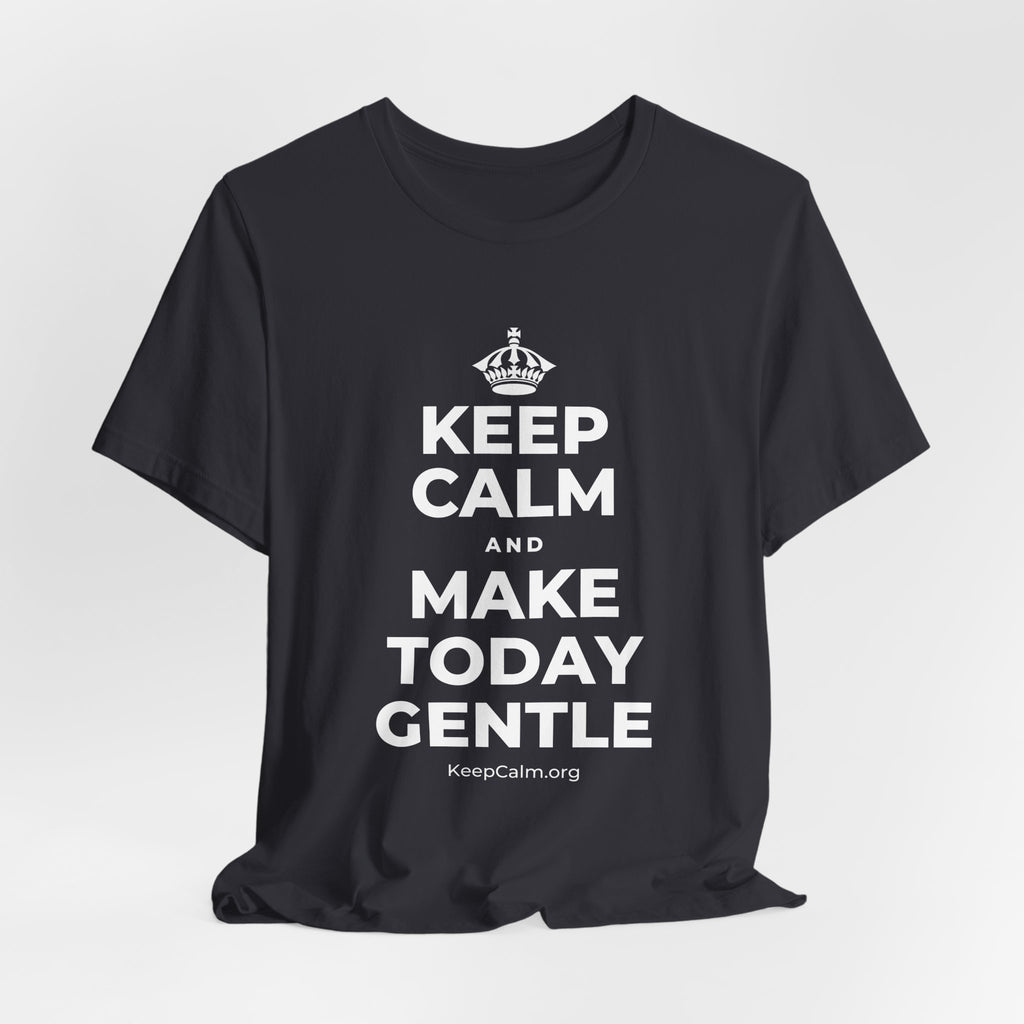 KEEP CALM AND MAKE TODAY GENTLE T-Shirt (Baby Blue–Silver)