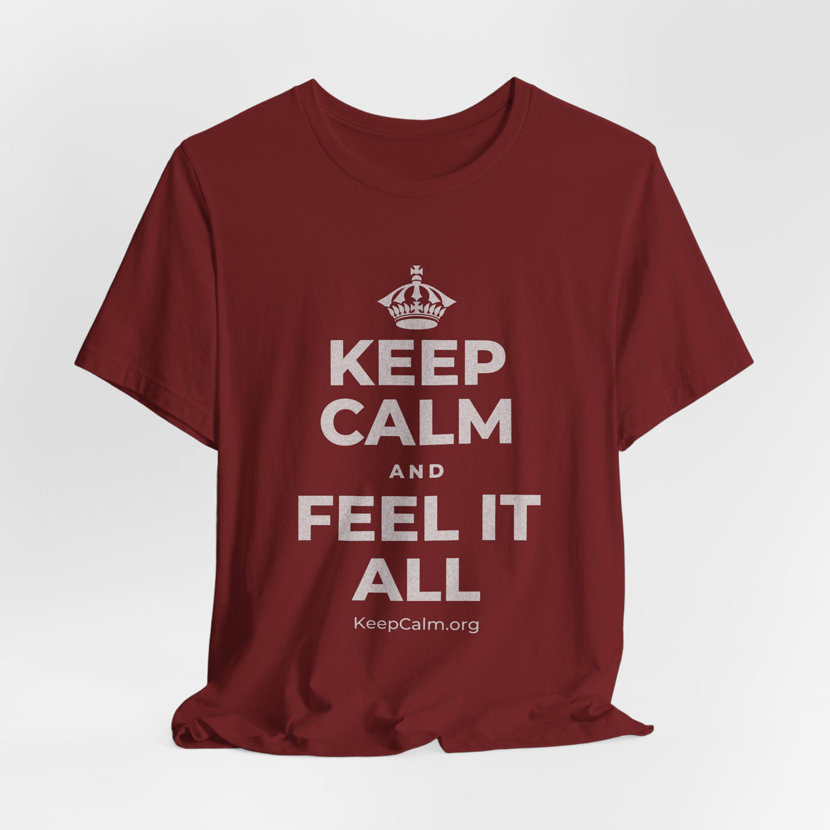 KEEP CALM AND FEEL IT ALL T-Shirt (Baby Blue–Silver)