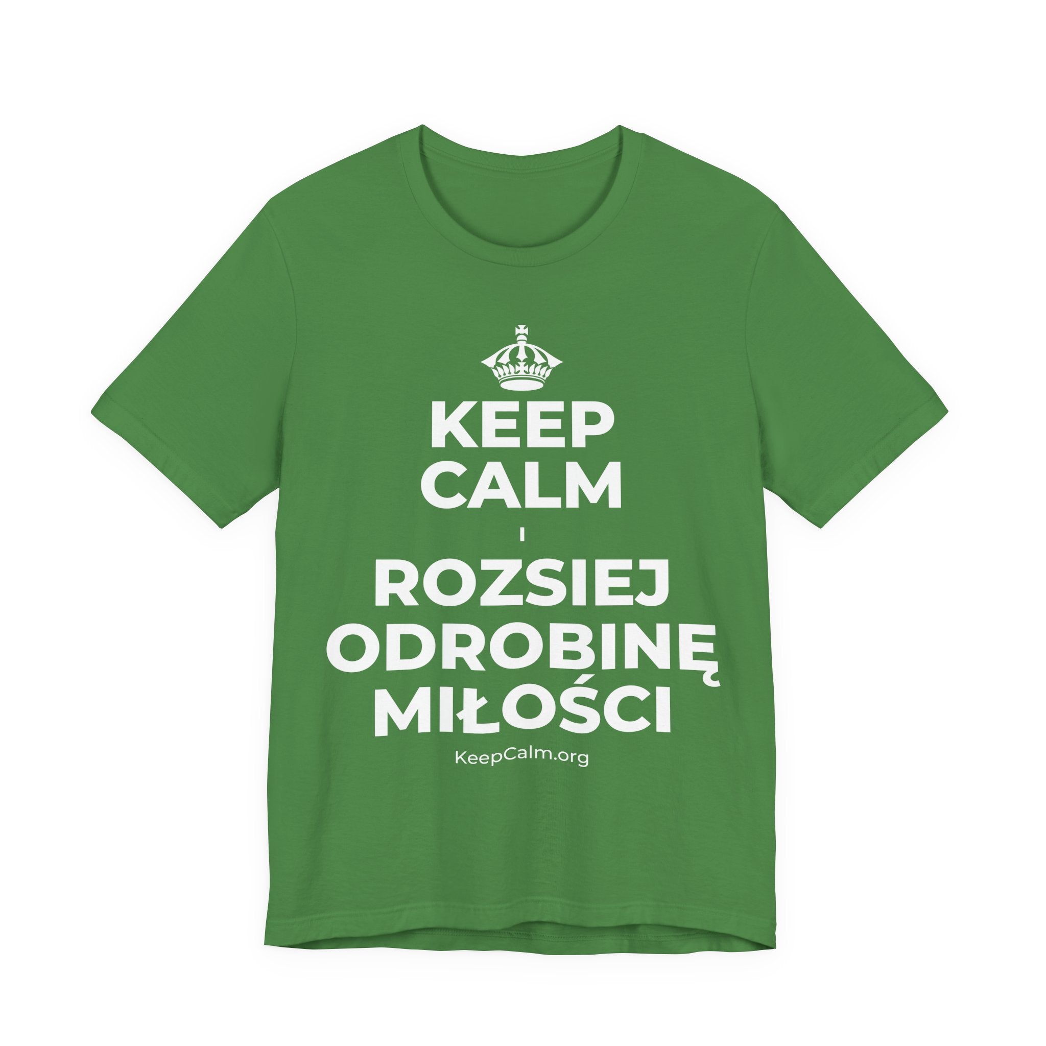 KEEP CALM I ROZSIEJ ODROBINĘ MIŁOŚCI T-Shirt (Baby Blue–Silver)