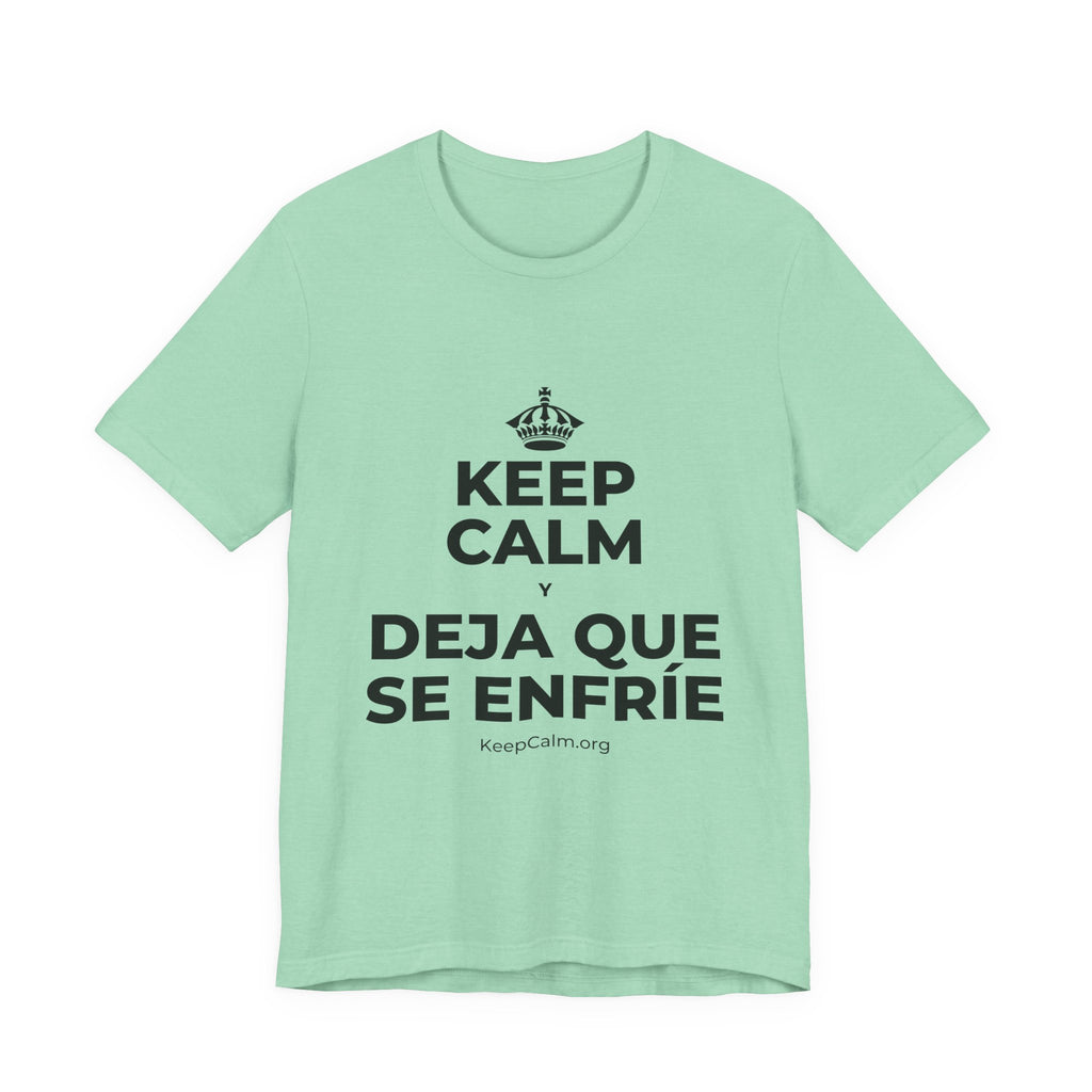 KEEP CALM Y DEJA QUE SE ENFRÍE T-Shirt (Baby Blue–Silver)