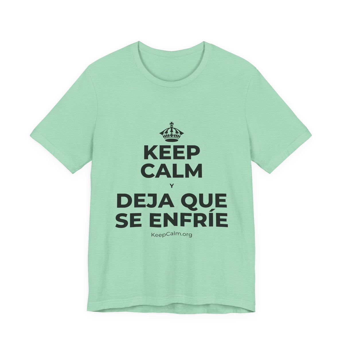 KEEP CALM Y DEJA QUE SE ENFRÍE T-Shirt (Baby Blue–Silver)