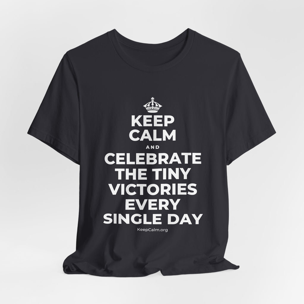 KEEP CALM AND CELEBRATE THE TINY VICTORIES EVERY SINGLE DAY T-Shirt (Baby Blue–Silver)