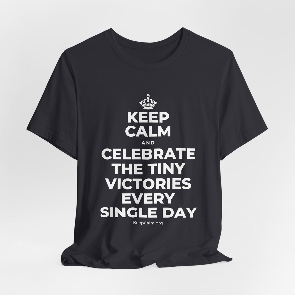 KEEP CALM AND CELEBRATE THE TINY VICTORIES EVERY SINGLE DAY T-Shirt (Baby Blue–Silver)