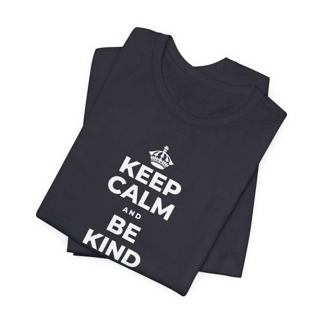 KEEP CALM AND BE KIND TO THE NEW KID T-Shirt (Baby Blue–Silver)