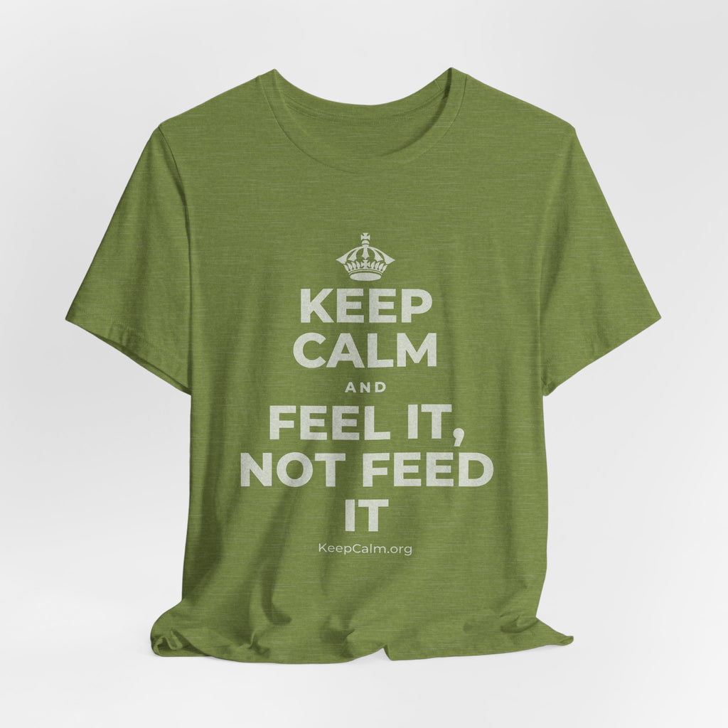 KEEP CALM AND FEEL IT, NOT FEED IT T-Shirt (Baby Blue–Silver)