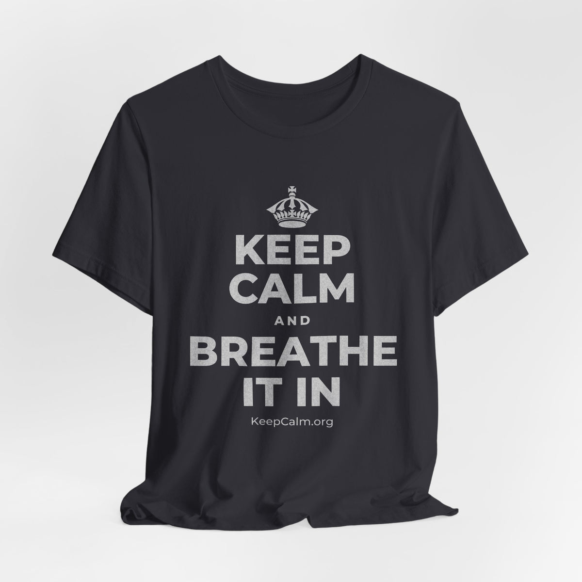 KEEP CALM AND BREATHE IT IN T-Shirt (Baby Blue–Silver)