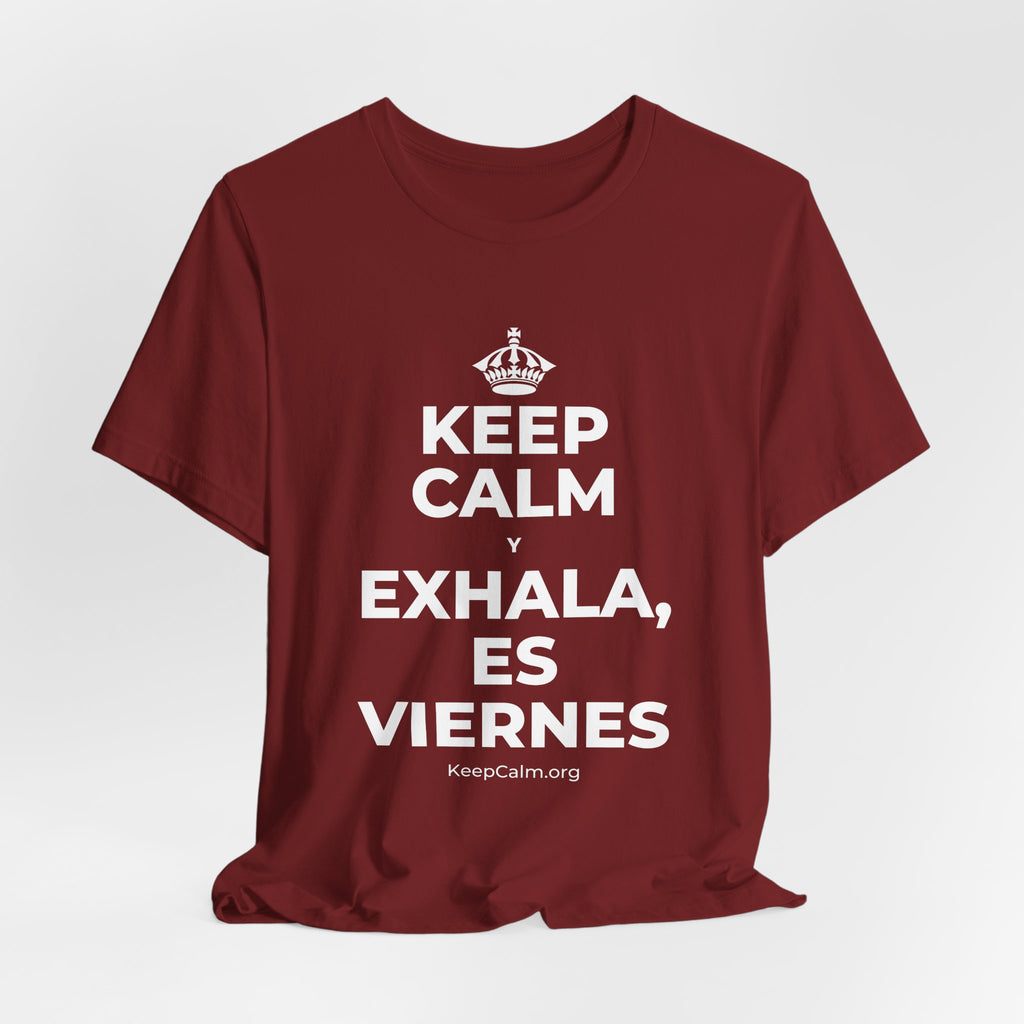 KEEP CALM Y EXHALA, ES VIERNES T-Shirt (Baby Blue–Silver)