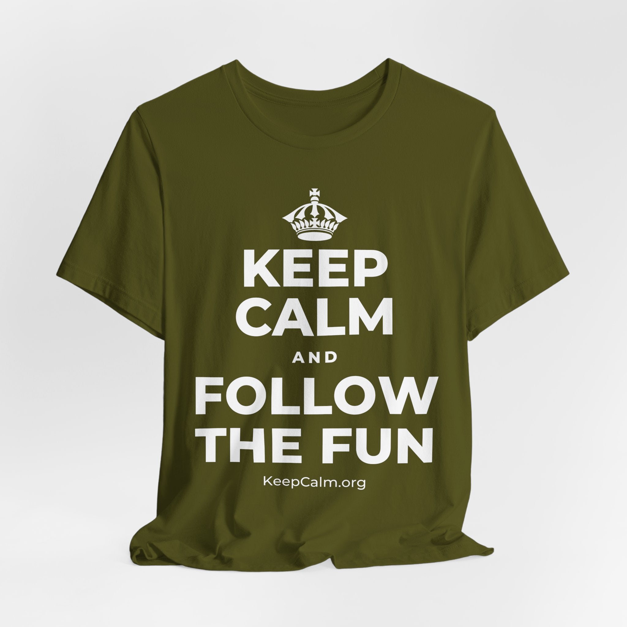 KEEP CALM AND FOLLOW THE FUN T-Shirt (Baby Blue–Silver)