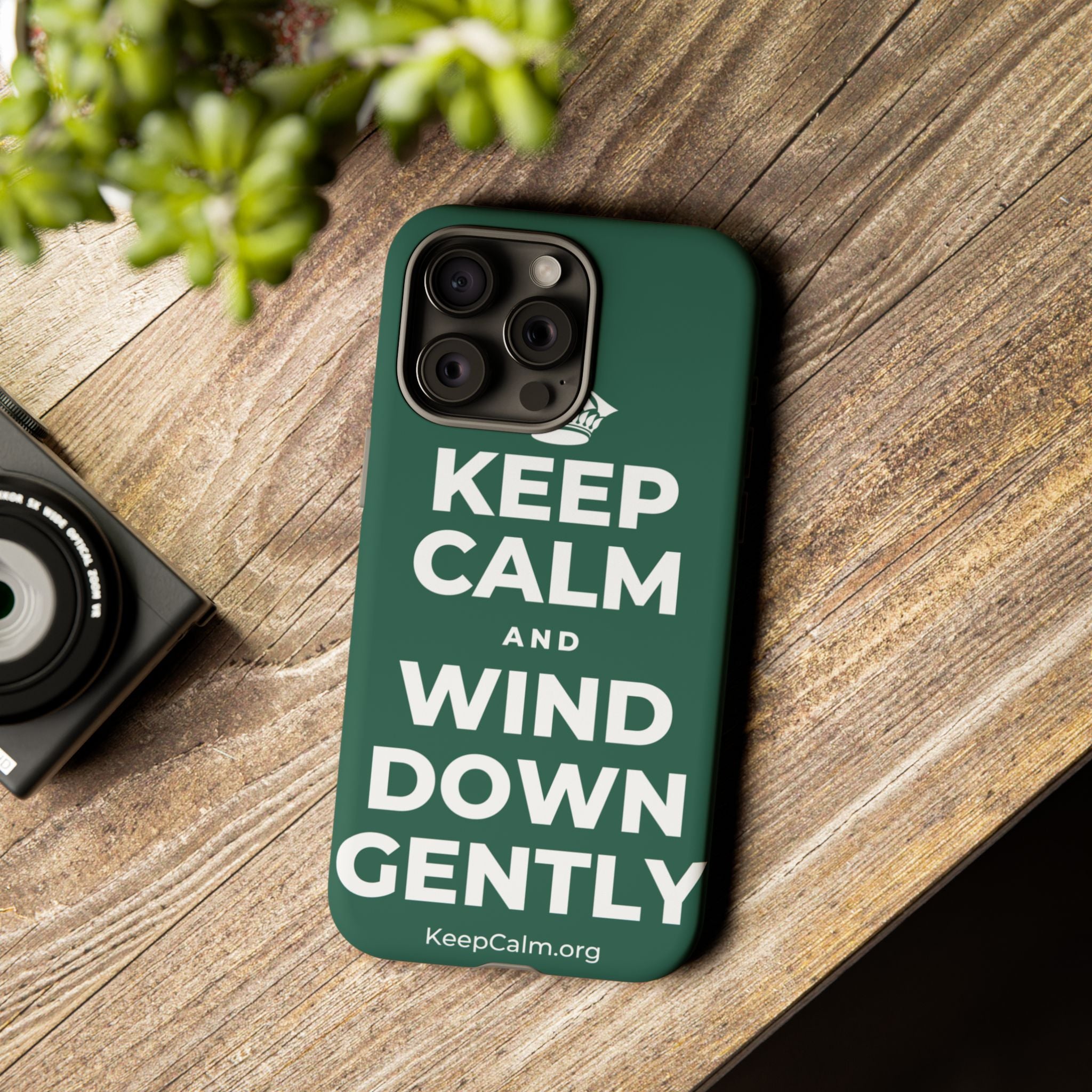 KEEP CALM AND WIND DOWN GENTLY Phone Case