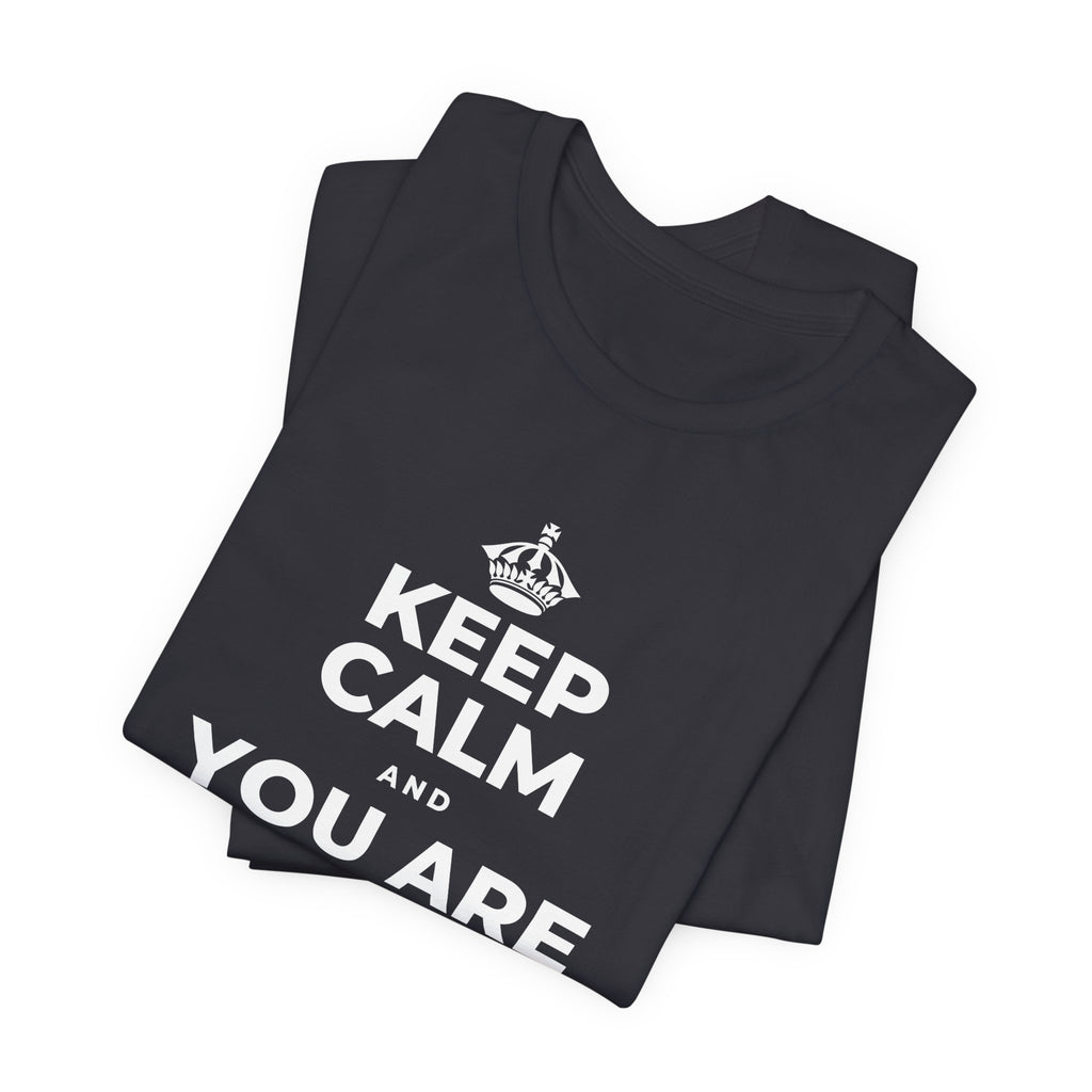 KEEP CALM AND YOU ARE DOING GREAT TODAY T-Shirt (Baby Blue–Silver)