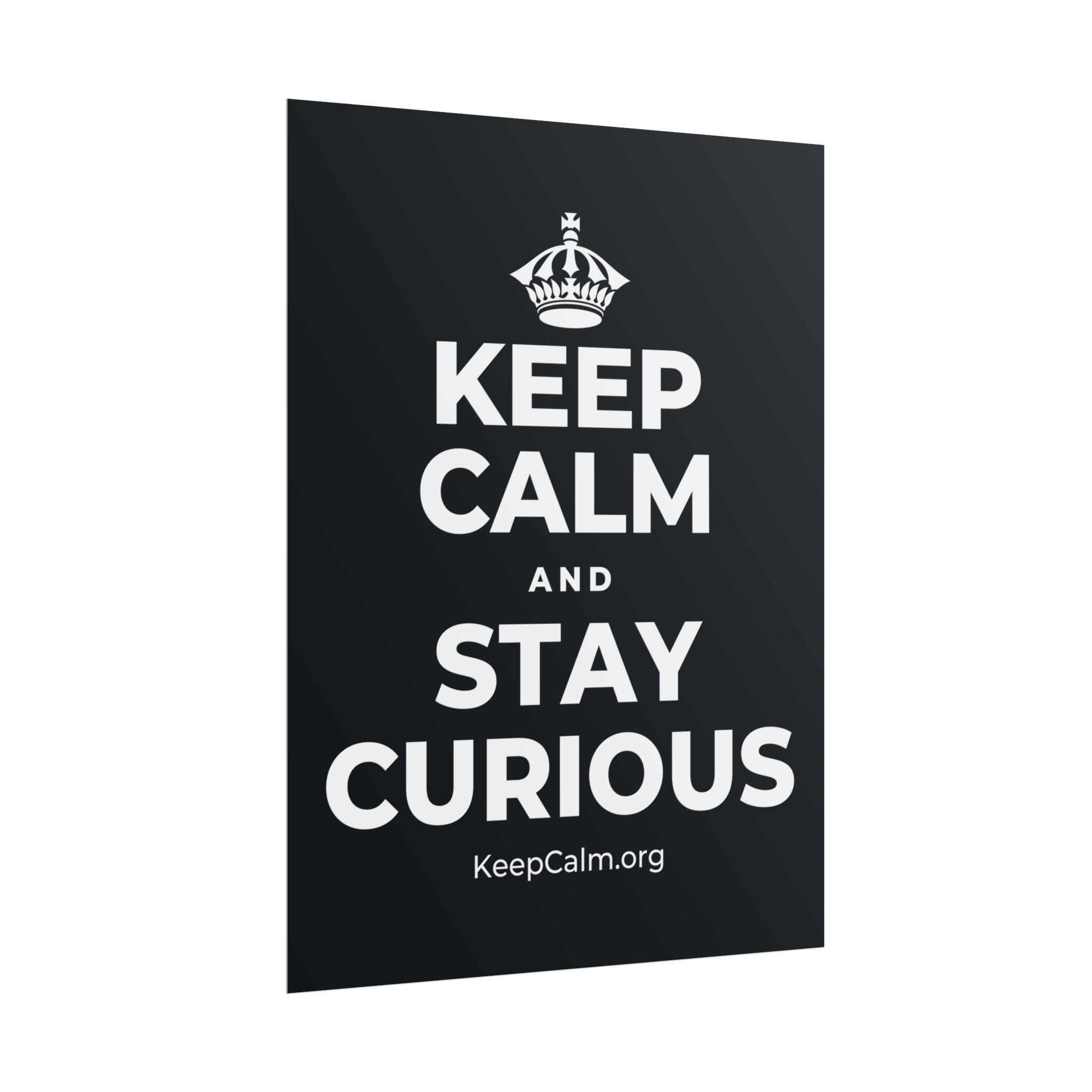 KEEP CALM AND STAY CURIOUS Poster (Dark)