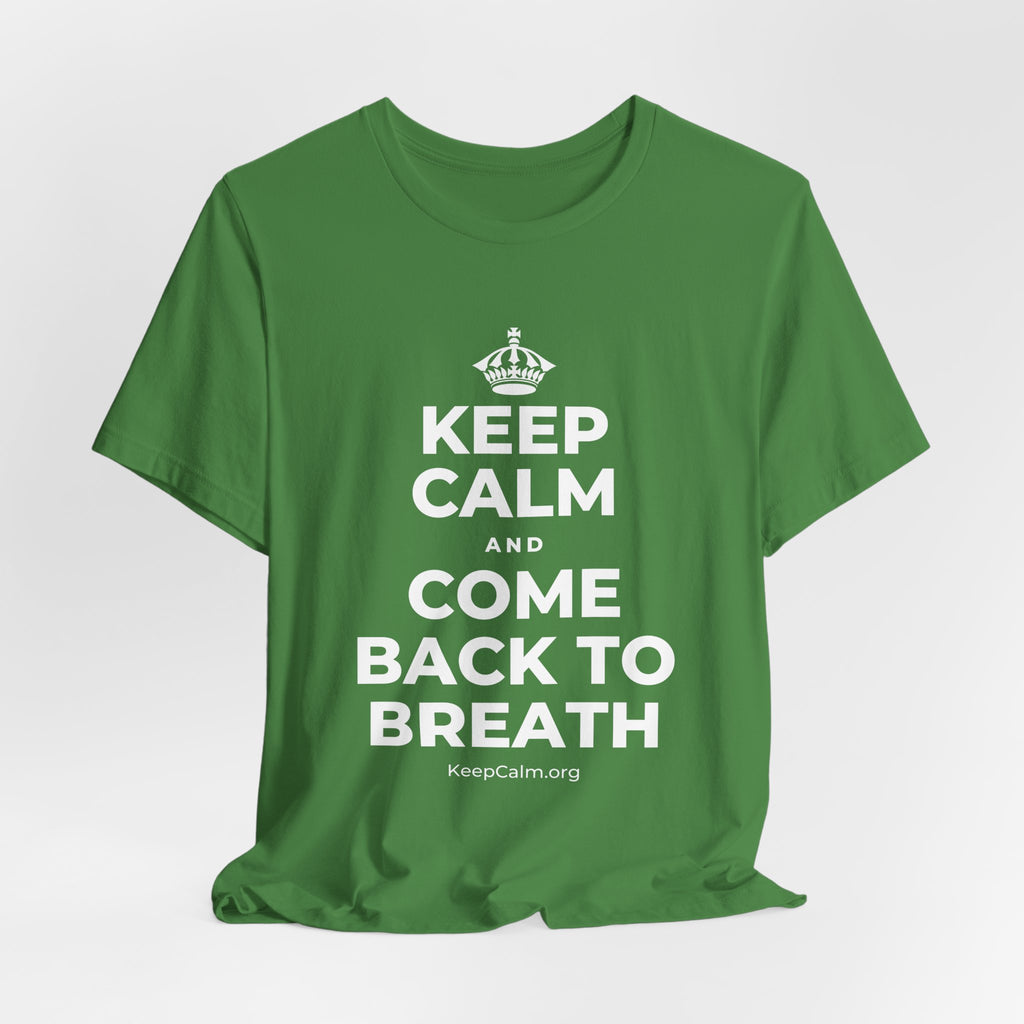 KEEP CALM AND COME BACK TO BREATH T-Shirt (Baby Blue–Silver)