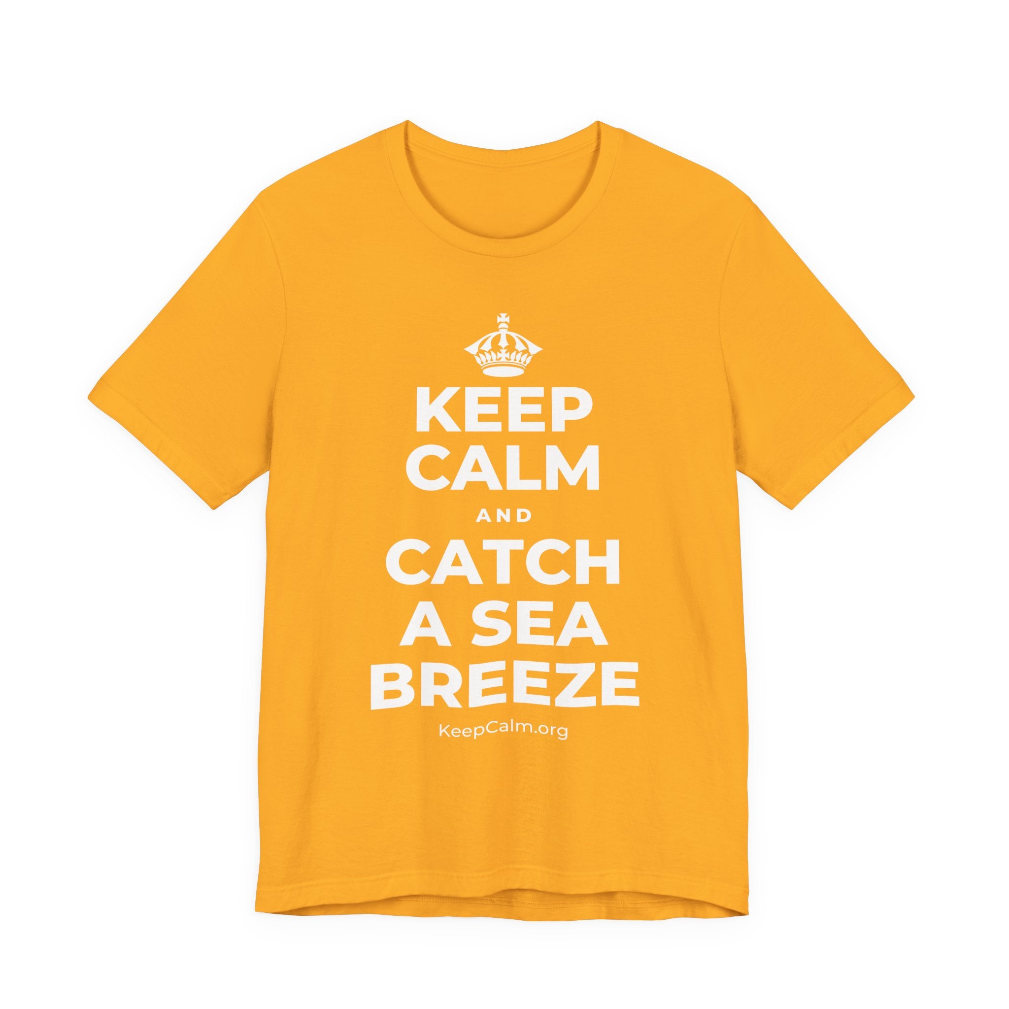 KEEP CALM AND CATCH A SEA BREEZE T-Shirt (Baby Blue–Silver)