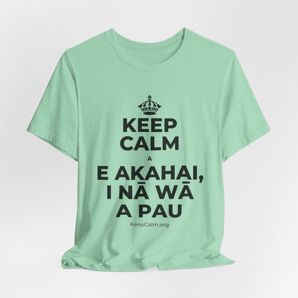 KEEP CALM A E AKAHAI, I NĀ WĀ A PAU T-Shirt (Baby Blue–Silver)