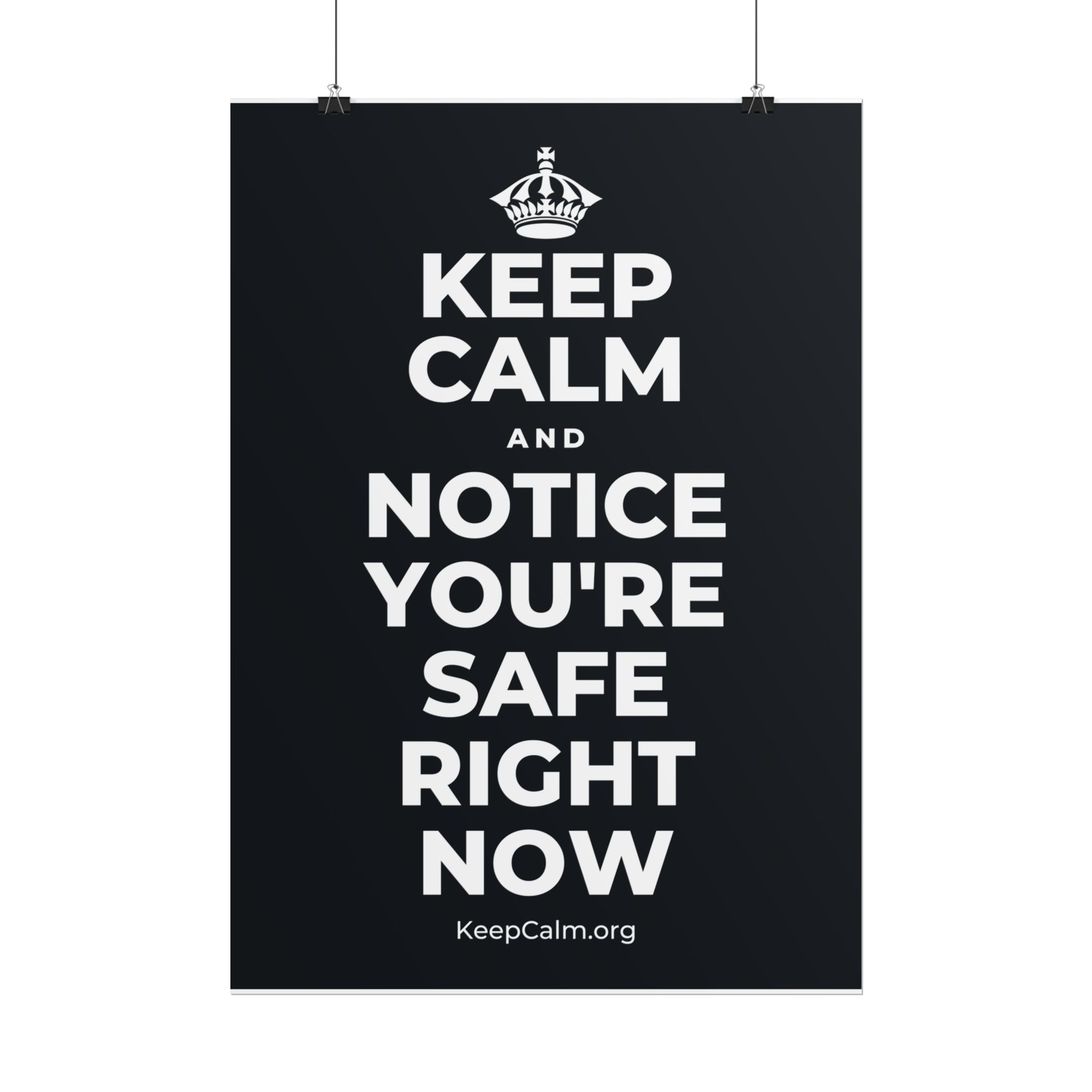 KEEP CALM AND NOTICE YOU'RE SAFE RIGHT NOW Poster (Dark)