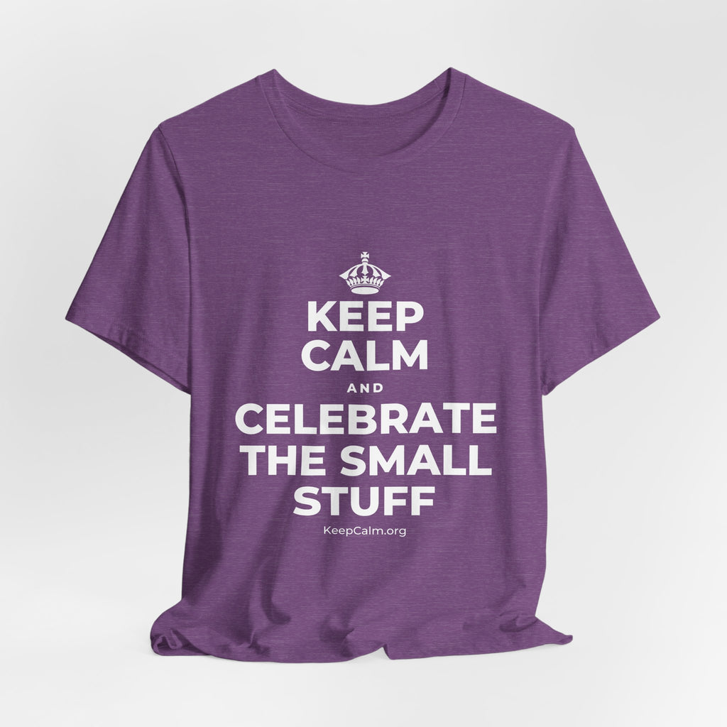 KEEP CALM AND CELEBRATE THE SMALL STUFF T-Shirt (Baby Blue–Silver)