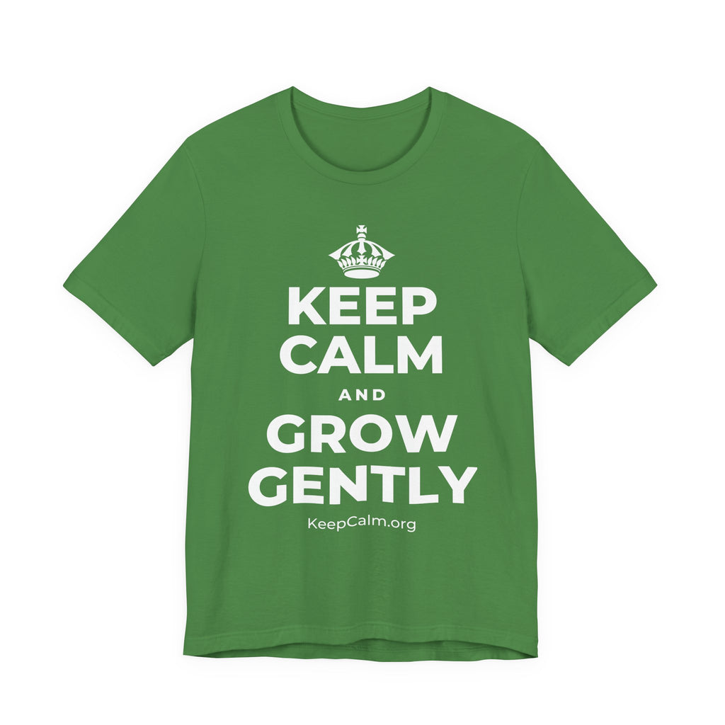 KEEP CALM AND GROW GENTLY T-Shirt (Baby Blue–Silver)